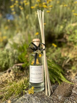 Senteurs du Maquis...