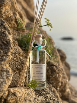 Brume de Criste Marine