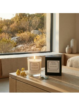 Éclat d’Immortelle, une bougie solaire inspirée du maquis corse au mois d’août.