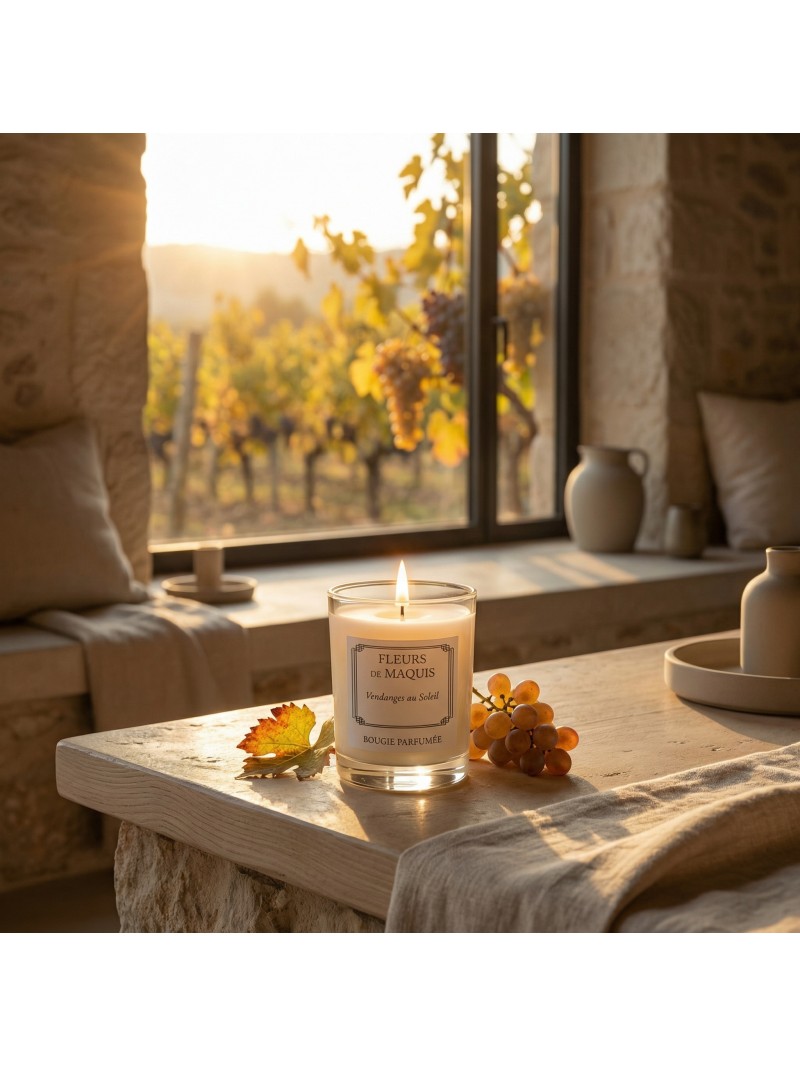 Vendanges au Soleil, une bougie aux accents de raisin et d’immortelle inspirée des vendanges d’automne.