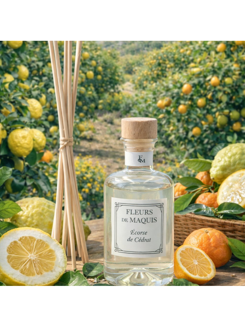 Écorce de Cédrat, un diffuseur d’ambiance vif et lumineux aux accents zestés d’agrumes.