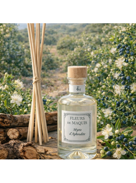 Myrte d’Aphrodite, un diffuseur d’ambiance élégant et sensuel aux accents myrtés et lumineux.