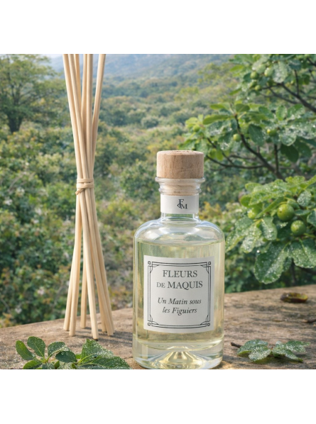 Un Matin sous les Figuiers, un diffuseur d’ambiance doux et lumineux inspiré de la fraîcheur du figuier.